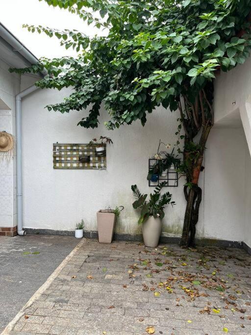 度假居 Casa Espacosa 6 Min Da